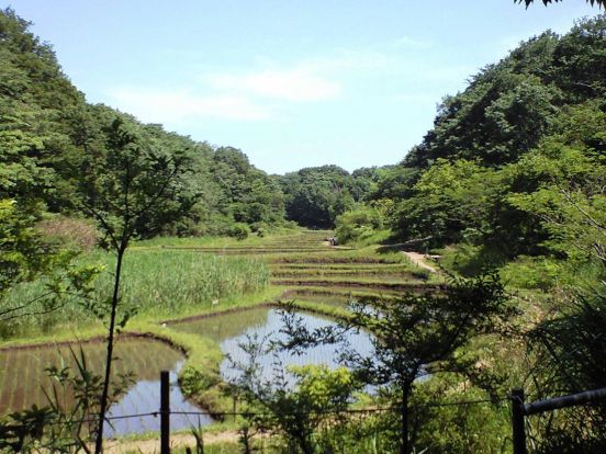 舞岡公園の画像