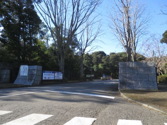 泉自然公園の画像