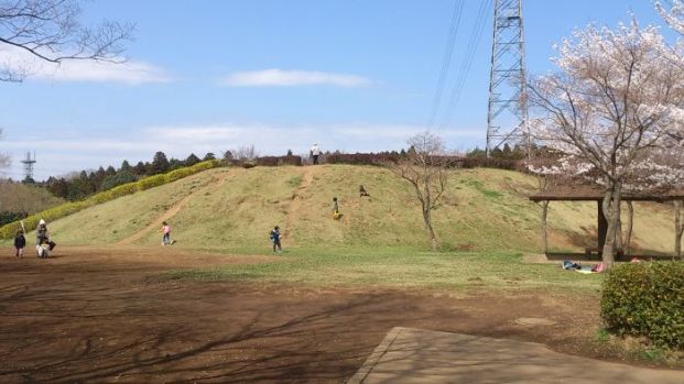 四街道総合公園の画像