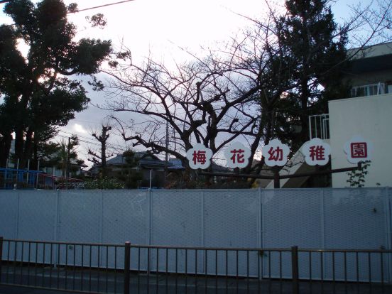 梅花幼稚園の画像