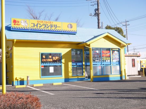 らくだらくだコインランドリー伊勢原店の画像