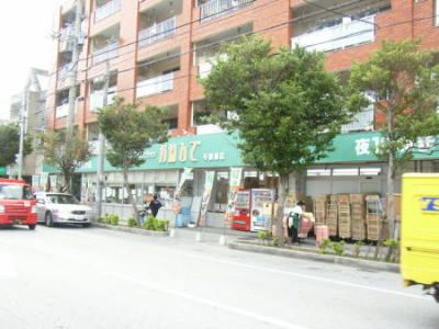 かねひで与儀東店の画像