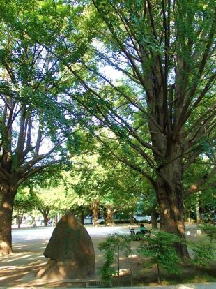 板橋区平和公園の画像