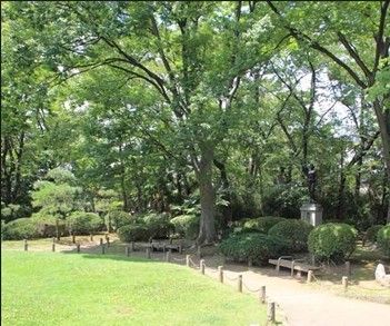 蕨城址公園の画像