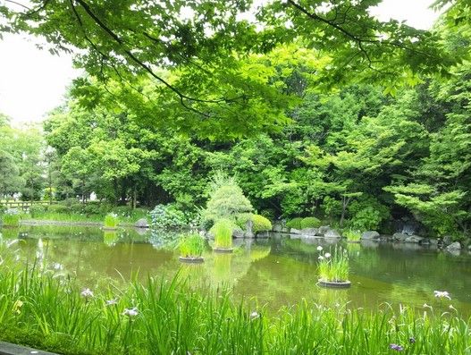 後谷公園の画像