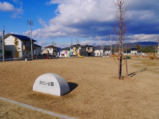 カリン公園の画像