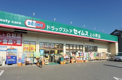 ドラッグセイムス上小町店の画像