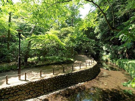 等々力渓谷公園の画像