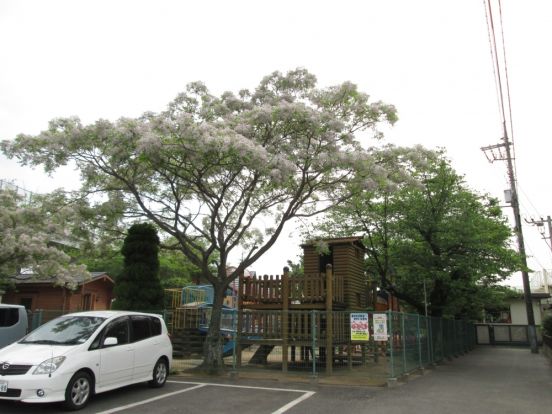 片島保育園の画像