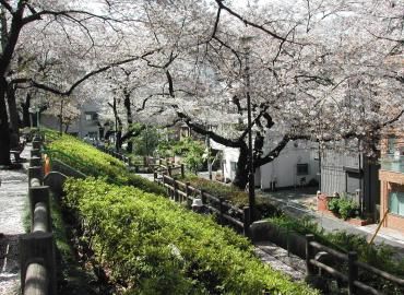 清和公園の画像