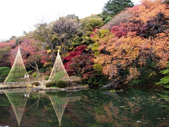 江戸川公園の画像