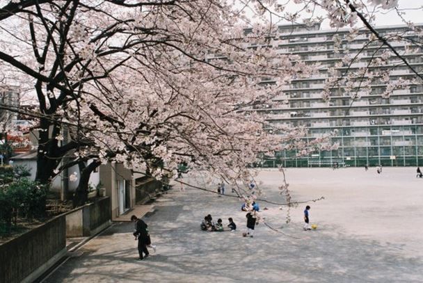 西大井広場公園の画像