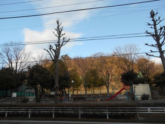 称名寺東公園の画像