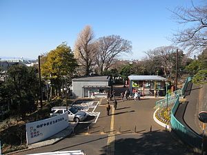 野毛山動物園 の画像