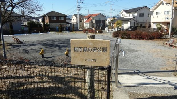 楢原桑の実公園の画像