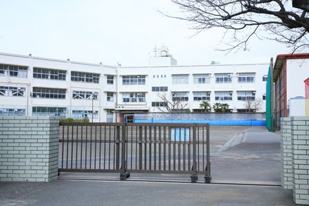 横浜市立白根小学校の画像