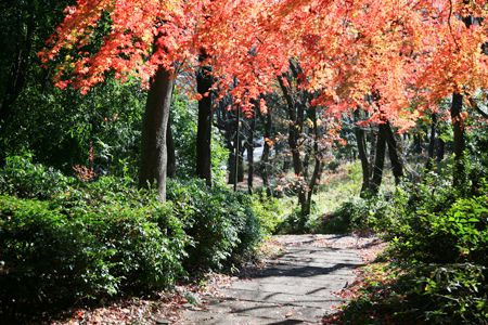 桧山公園の画像