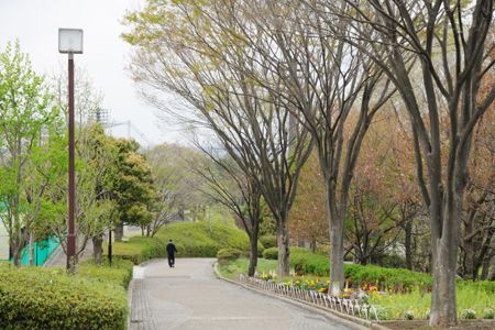 今川公園の画像