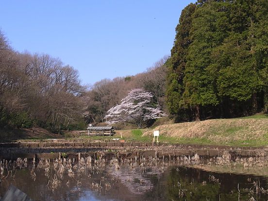 こども自然公園の画像