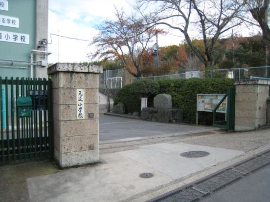 宇治市立 菟道小学校の画像