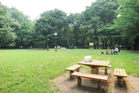 和田堀公園の画像
