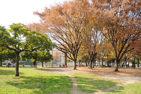 青山公園の画像