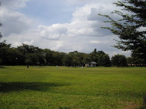 区立柏の宮公園の画像