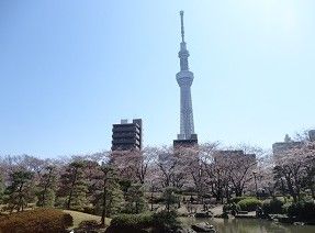 隅田公園の画像