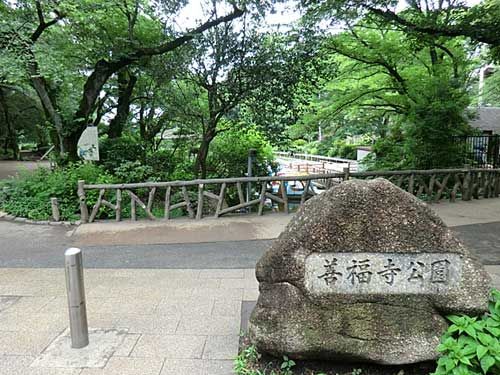 善福寺公園の画像