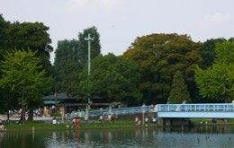 水元公園の画像