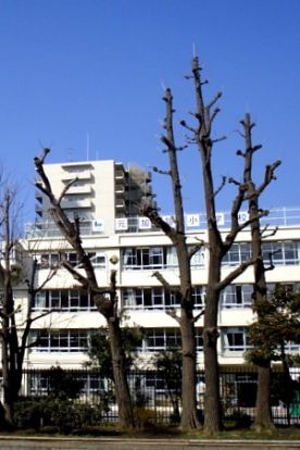 江東区立 元加賀小学校の画像