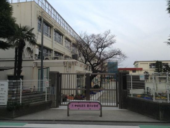 奥沢小学校の画像