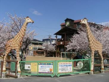 天王学園幼稚園の画像