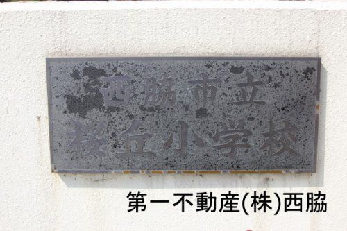 西脇市立 桜丘小学校の画像