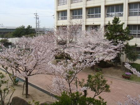 播磨南中学校の画像