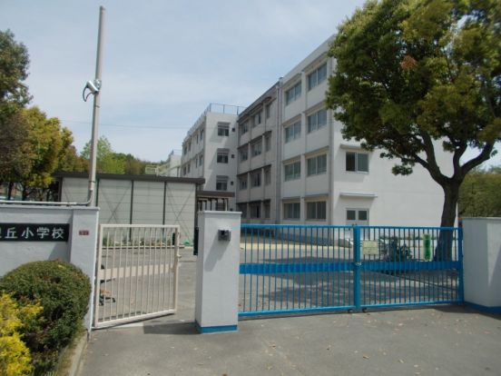 東泉丘小学校の画像