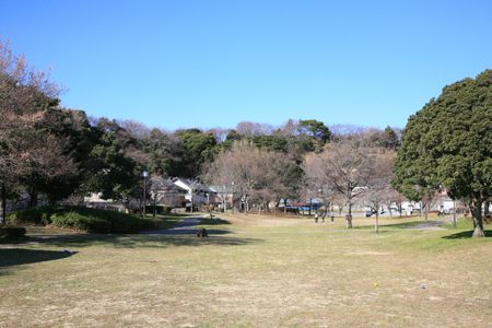 新本牧公園の画像