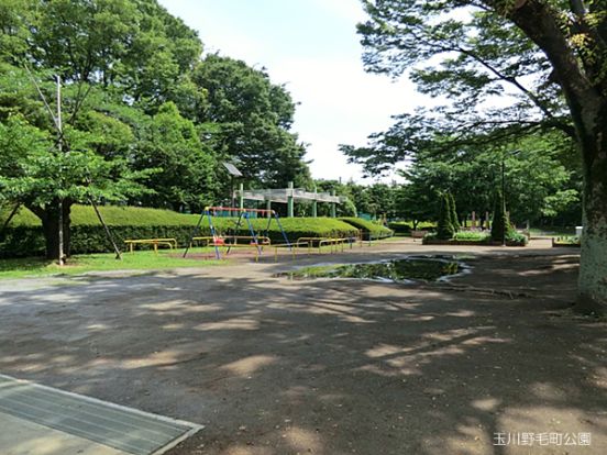 玉川野毛町公園の画像