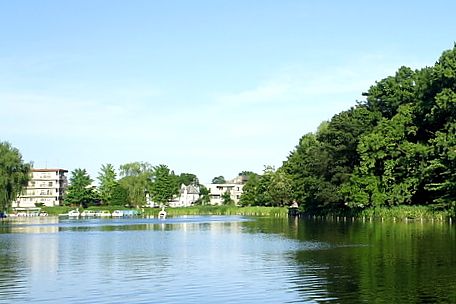 東京都立石神井公園の画像