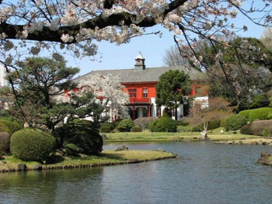 小石川植物園の画像