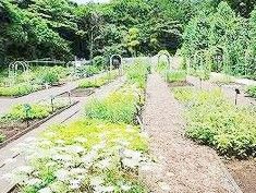 昭和薬科大学薬用植物園の画像