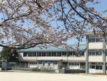 松戸市立 稔台小学校の画像