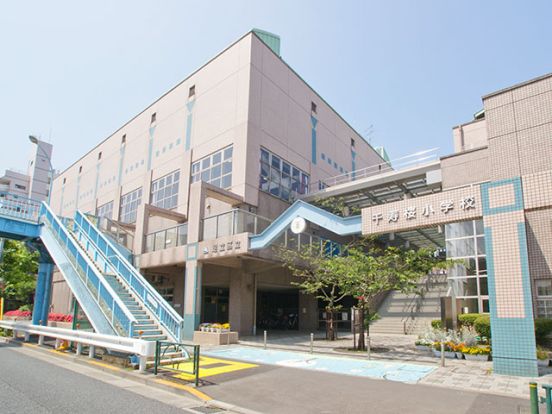 千寿桜小学校の画像