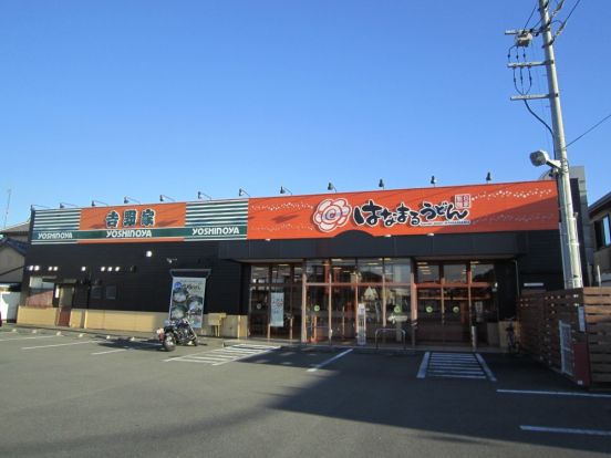 はなまるうどん浜松アリーナ前店の画像