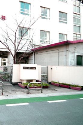 文京区立第十中学校の画像