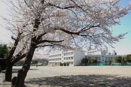 大和市立 福田小学校の画像