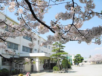 茅ヶ崎市立 鶴嶺小学校の画像