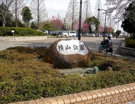 横山公園の画像