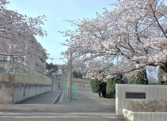 茅ケ崎市立 赤羽根中学校の画像