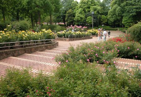 相模原北公園の画像